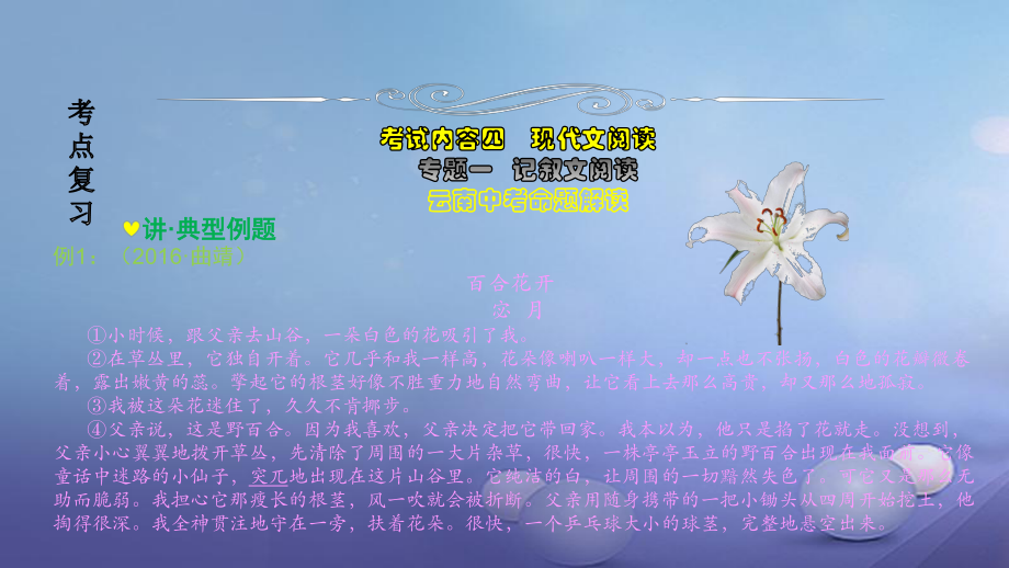 云南省2017中考語文 專題一 記敘文閱讀復(fù)習(xí)課件_第1頁(yè)