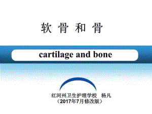 《軟骨和骨》PPT課件.ppt