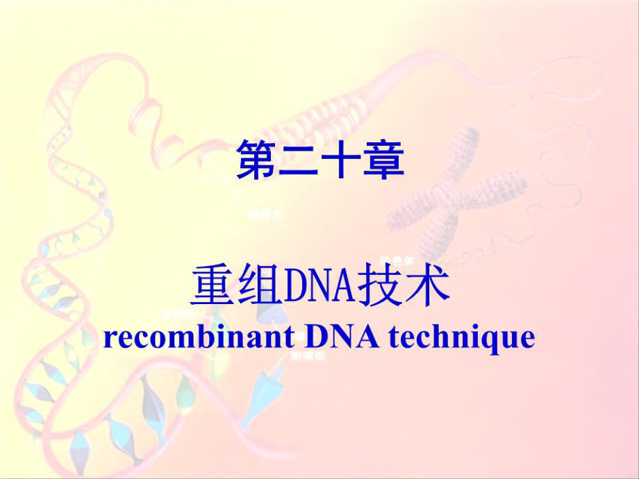 《重組DNA技術(shù)》PPT課件.ppt_第1頁