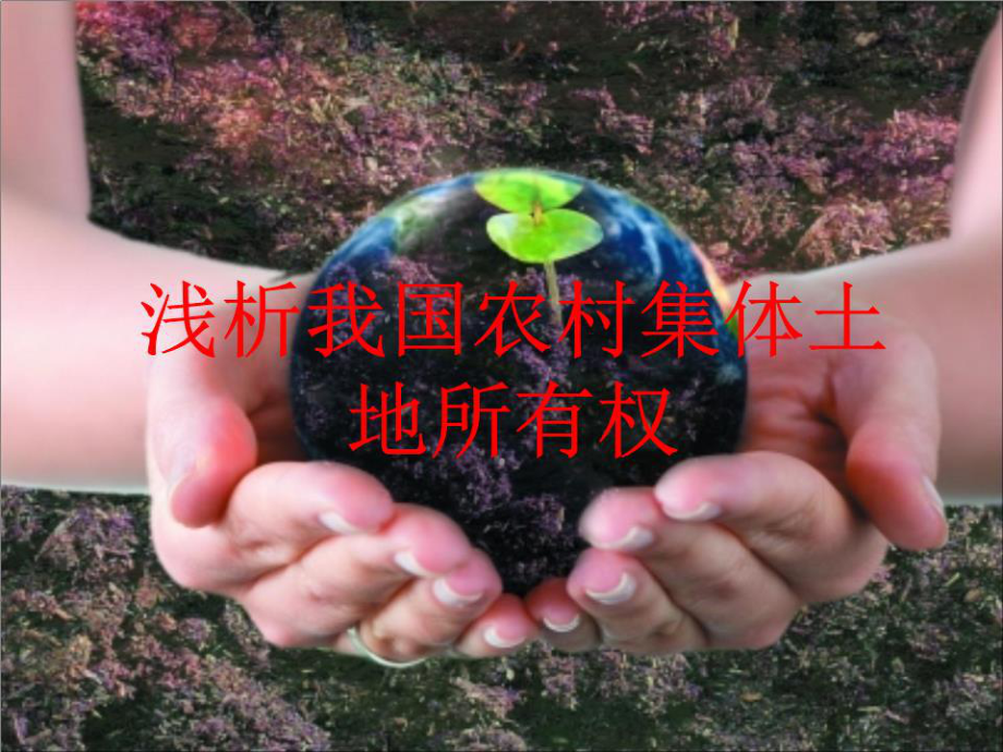 《集體土地所有權》PPT課件.ppt_第1頁