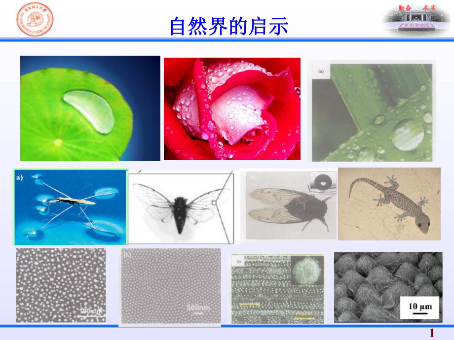 物理化學復習：第15章 界面現(xiàn)象_第1頁