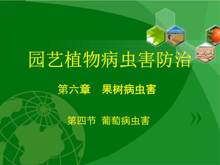 园艺植物病虫害防治.ppt_第1页