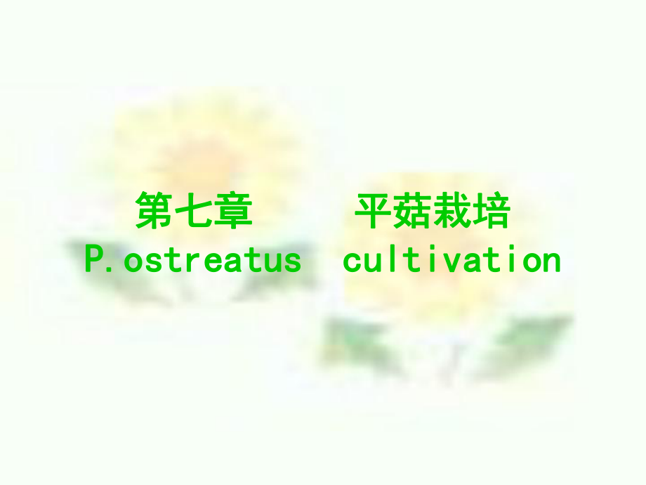 《平菇栽培》PPT課件.ppt_第1頁(yè)