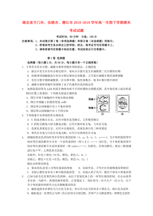 湖北省天門市、仙桃市、潛江市2018_2019學(xué)年高一生物下學(xué)期期末考試試題.docx