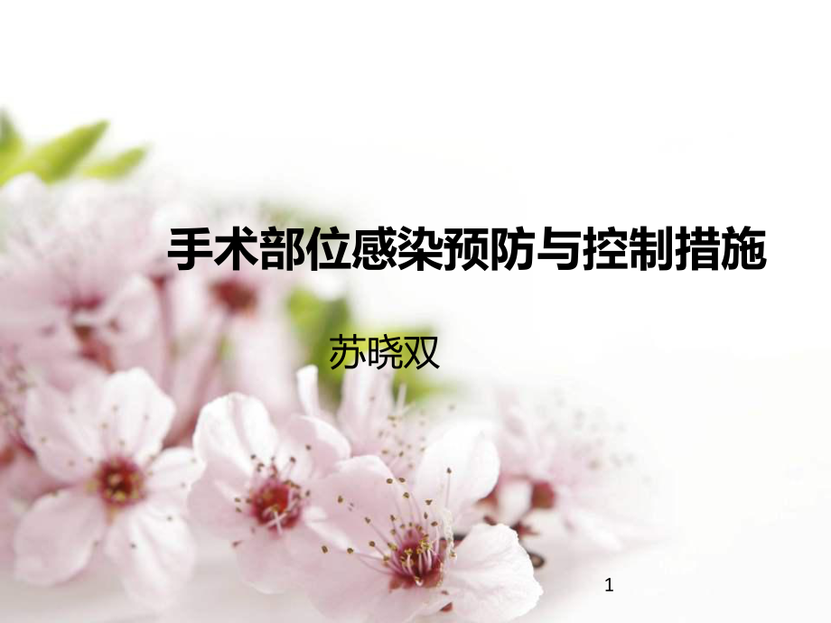 手术部位感染预防与控制措施.ppt_第1页