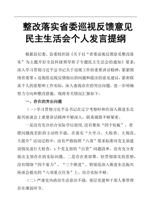 整改落實(shí)省委巡視反饋意見民主生活會(huì)個(gè)人發(fā)言提綱.docx