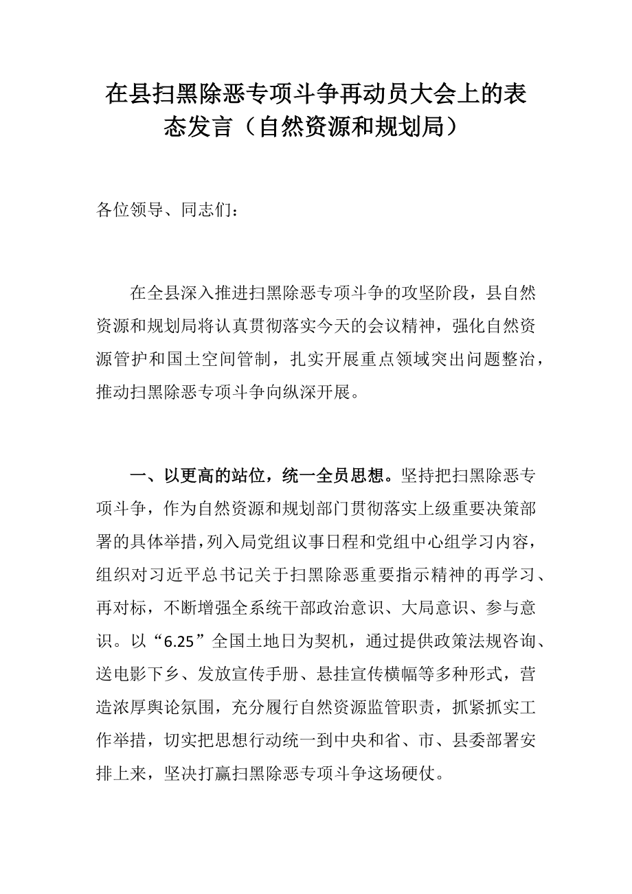 在县扫黑除恶专项斗争再动员大会上的表态发言（自然资源和规划局）_第1页