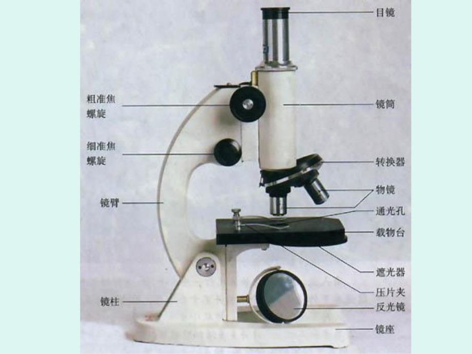 主题2生物体的结构层次.ppt_第1页