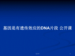 基因是有遺傳效應(yīng)的DNA片段 公開(kāi)課PPT學(xué)習(xí)教案