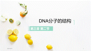 DNA分子的结构(优质课件)