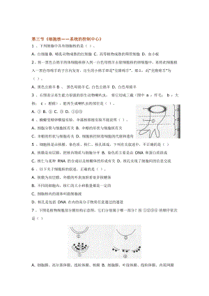 論文：第三節(jié)細(xì)胞核系統(tǒng)的控制中心.doc