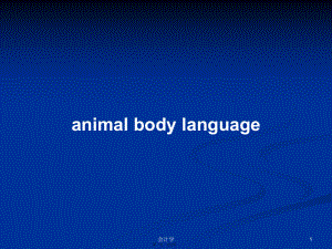 animal body language學(xué)習(xí)教案