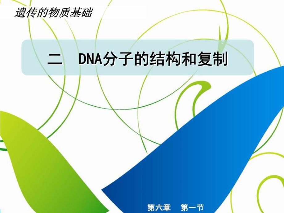 《DNA的结构和复制》PPT课件.ppt_第1页