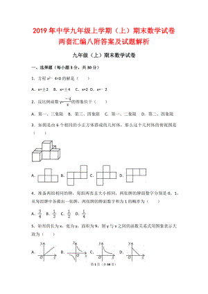 2019年中學九年級上學期（上）期末數學試卷兩套匯編八附答案及試題解析