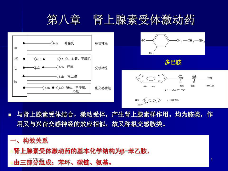 《腎上腺素受體藥》PPT課件.ppt_第1頁