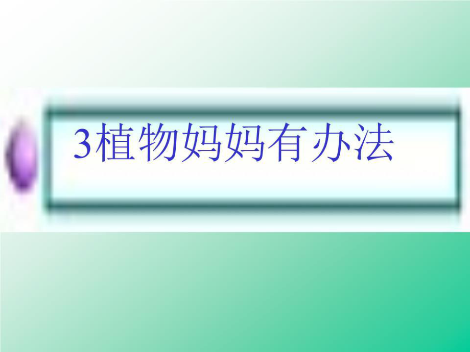 语文上册植物妈妈有办法.ppt_第1页