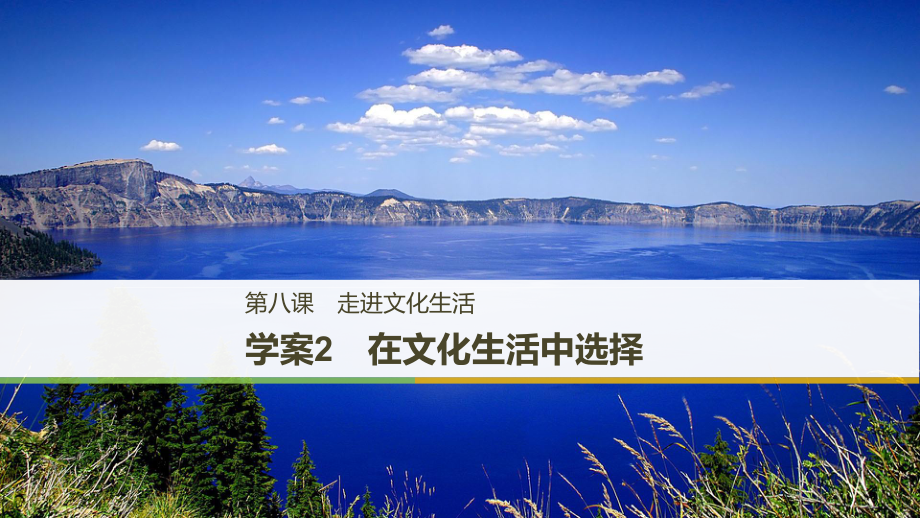 政治 第四單元 發(fā)展中國特色社會主義文化 第八課 走進文化生活 2 在文化生活中選擇 新人教版必修3_第1頁