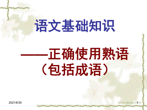 高考語文語文基礎(chǔ)知識(shí) 正確使用成語課件