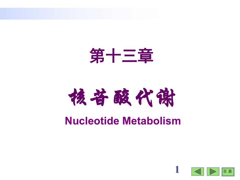 分子生物學(xué)學(xué)習(xí)課件：第二部分 核苷酸代謝_第1頁