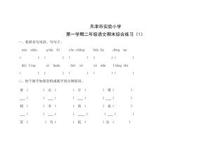 天津市實(shí)驗(yàn)小學(xué)二年級(jí)上學(xué)學(xué)期期末復(fù)習(xí)試卷.doc