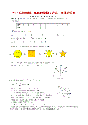 2015年湘教版八年级数学期末试卷五套并附答案