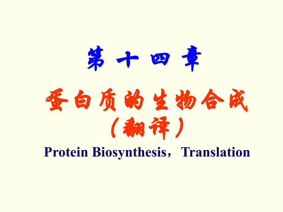 生物化學(xué)：第14章 蛋白質(zhì)的生物合成_第1頁