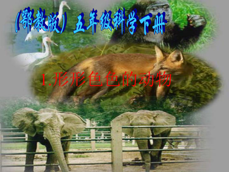 鄂教版小學(xué)科學(xué)五年級下冊《形形色色的動物》PPT課件_第1頁