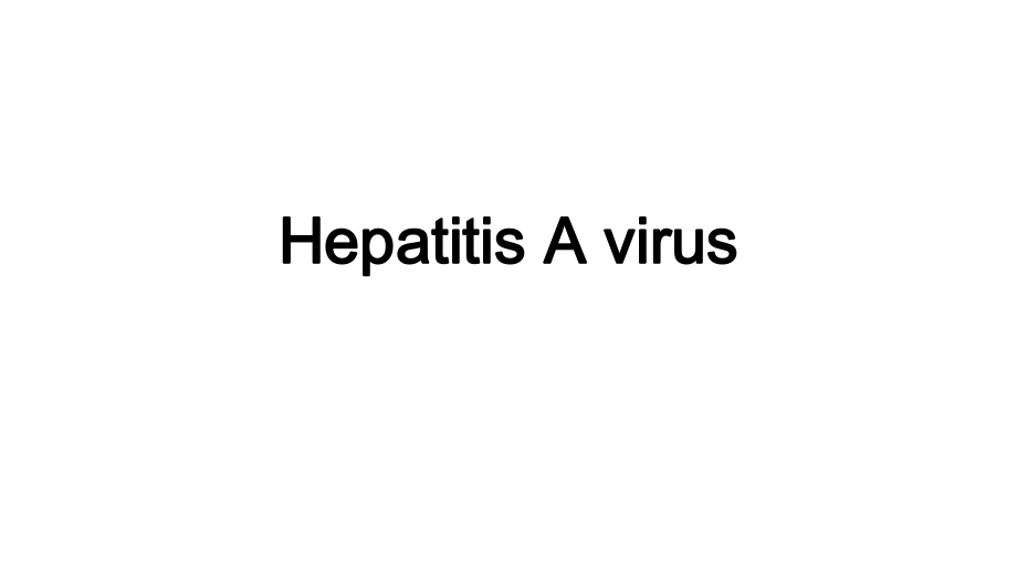 微生物与寄生虫：Hepatitis A virus_第1页