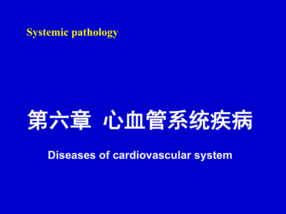 病理學：第六章 心血管系統(tǒng)疾病_第1頁