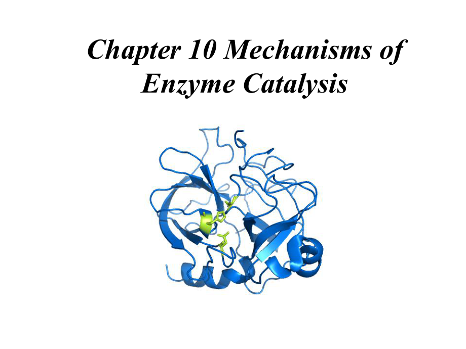 生物化学原理课件（英文）：Chapter10 Mechanisms of enzyme catalysis_第1页