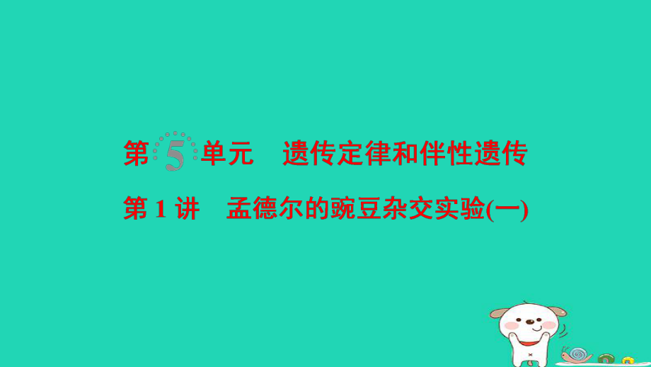 生物第5單元 遺傳定律和伴性遺傳 第1講 孟德爾的豌豆雜交實驗(一)_第1頁