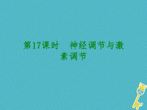 生物 第四單元 生物圈中的人 第17課時 神經(jīng)調(diào)節(jié)與激素調(diào)節(jié)