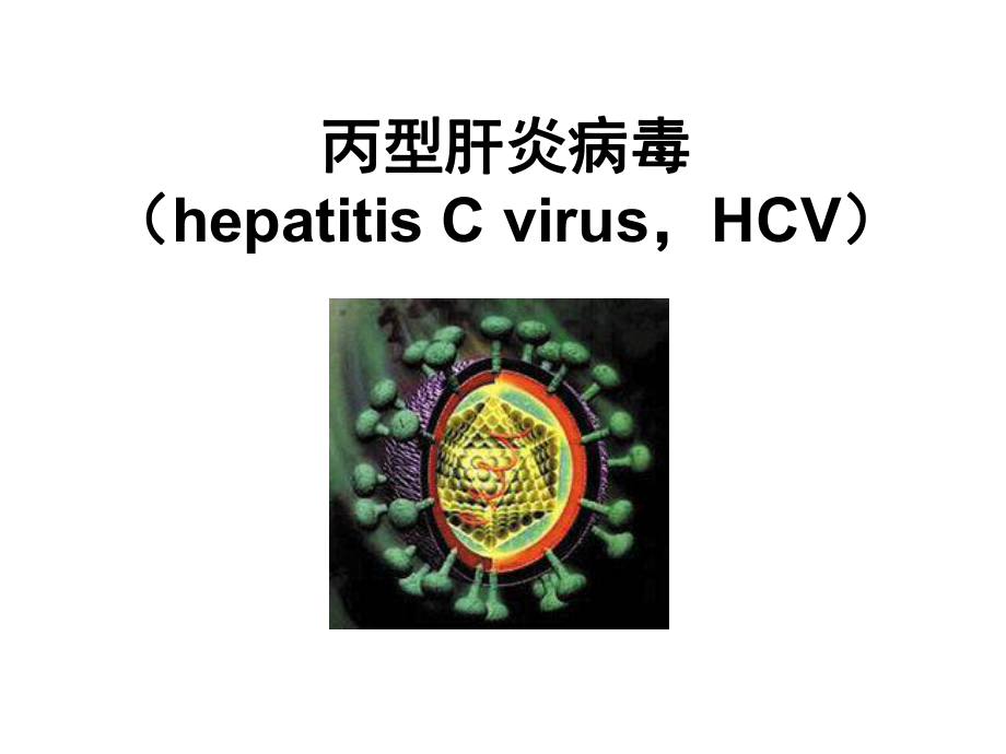 微生物与寄生虫：丙型肝炎病毒_第1页