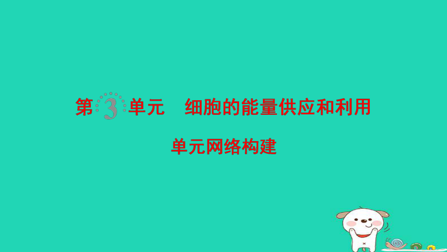 生物第3單元 細(xì)胞的能量供應(yīng)和利用單元網(wǎng)絡(luò)構(gòu)建_第1頁