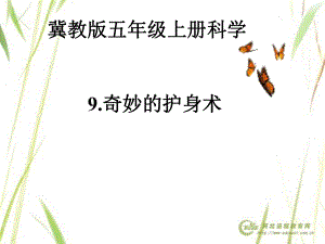 五年級(jí)科學(xué) 奇妙的護(hù)身術(shù) 課件