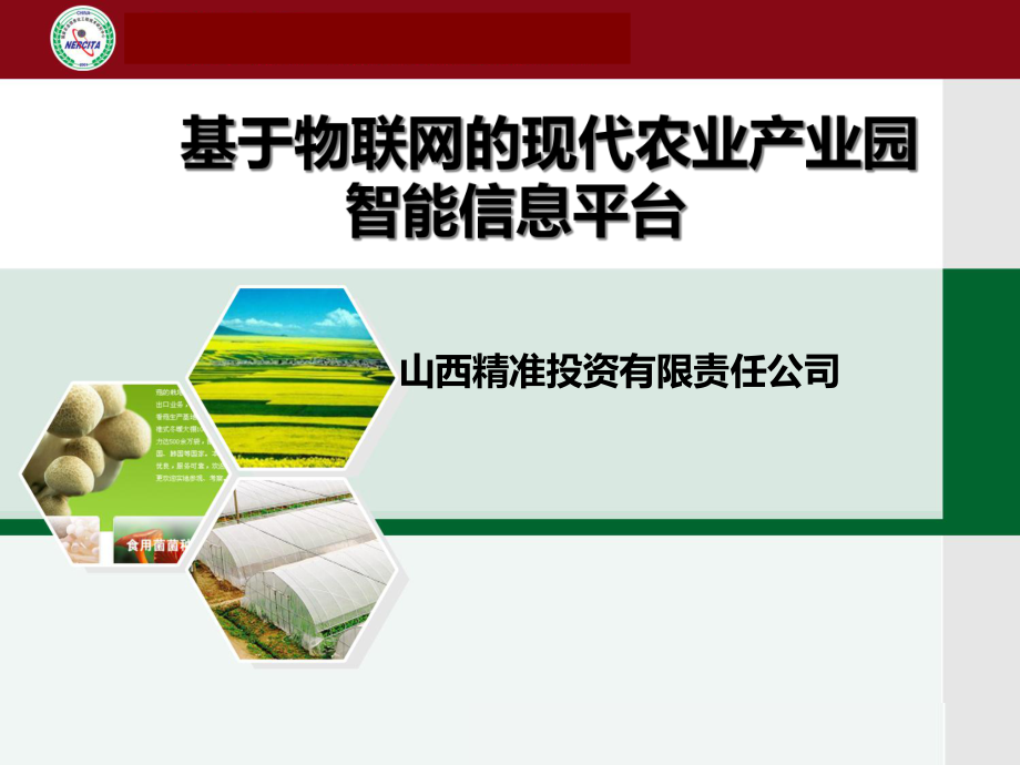 基于物联网的现代农业产业园智能信息平台(lv)_第1页