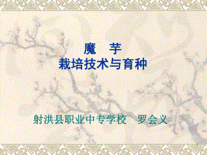 魔芋栽培技術(shù)PPT課件.ppt