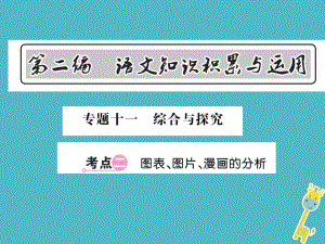 語文總第2編 語文知識積累與運用 十一 綜合與探究 二 圖標 圖片 漫畫的分析 語文版