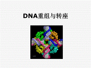 DNA重组与转座