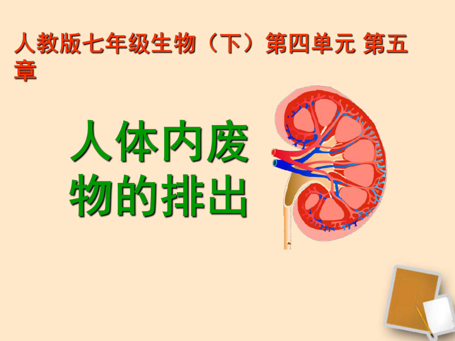 七年級(jí)生物下冊(cè)《第五章人體內(nèi)廢物的排出》課件人教新課標(biāo)版_第1頁(yè)