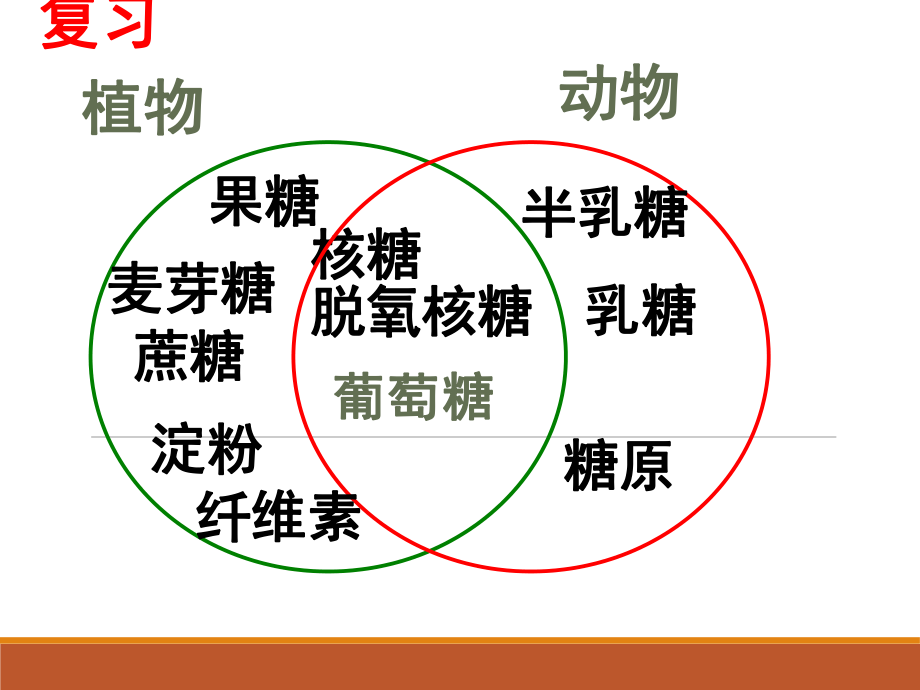 《细胞中的无机物》课件（1）_第1页