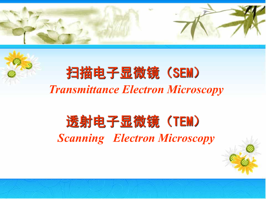 仪器分析SEM,TEM[共65页]_第1页