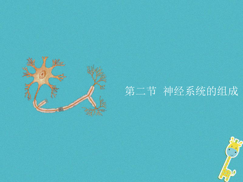 七年級生物下冊 第四單元 第六章 第二節(jié)《神經(jīng)系統(tǒng)的組成》 （新版）新人教版_第1頁