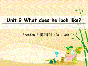 七年級英語下冊 Unit 9 What does he look like（第2課時）Section A（2a-3d） （新版）人教新目標版