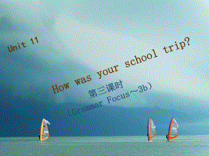 七年級(jí)英語(yǔ)下冊(cè) Unit 11 How was your school trip（第3課時(shí)）Grammar Focus-3c習(xí)題 （新版）人教新目標(biāo)版