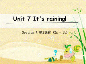 七年級(jí)英語下冊(cè) Unit 7 It’s raining（第2課時(shí)）Section A（2a-3b） （新版）人教新目標(biāo)版