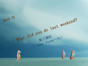 七年級(jí)英語下冊(cè) Unit 12 What did you do last weekend（第3課時(shí)）Grammar Focus-3c習(xí)題 （新版）人教新目標(biāo)版