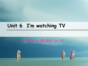 七年級(jí)英語下冊(cè) Unit 6 I’m watching TV（第2課時(shí)）Section A（2a-3c） （新版）人教新目標(biāo)版