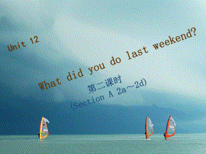 七年級(jí)英語(yǔ)下冊(cè) Unit 12 What did you do last weekend（第2課時(shí)）Section A（2a-2d）習(xí)題 （新版）人教新目標(biāo)版