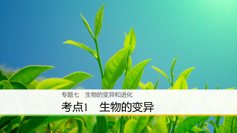 高三生物七 生物的變異和進(jìn)化 1 生物的變異 新人教版_第1頁